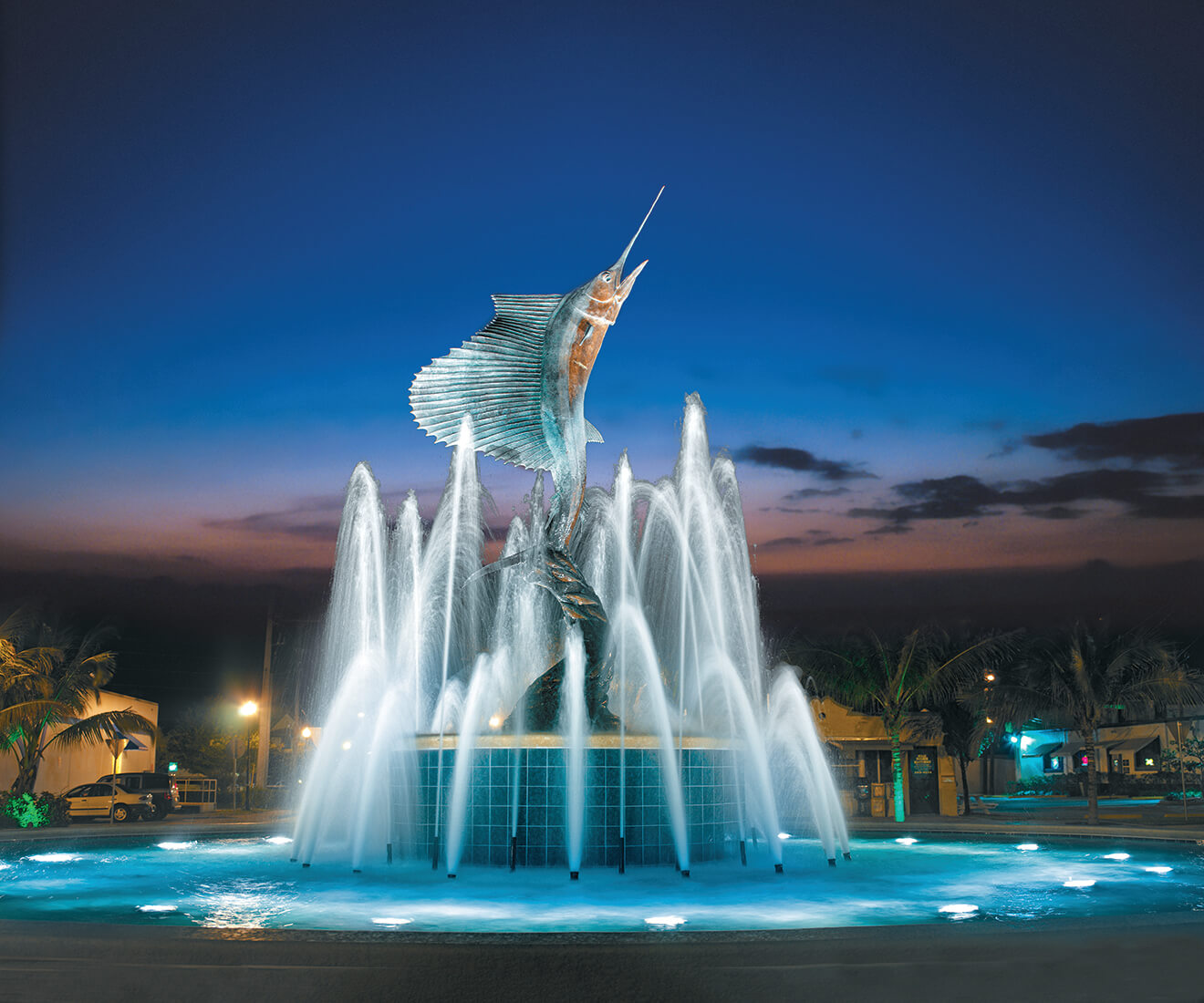 sailfish fountain at night